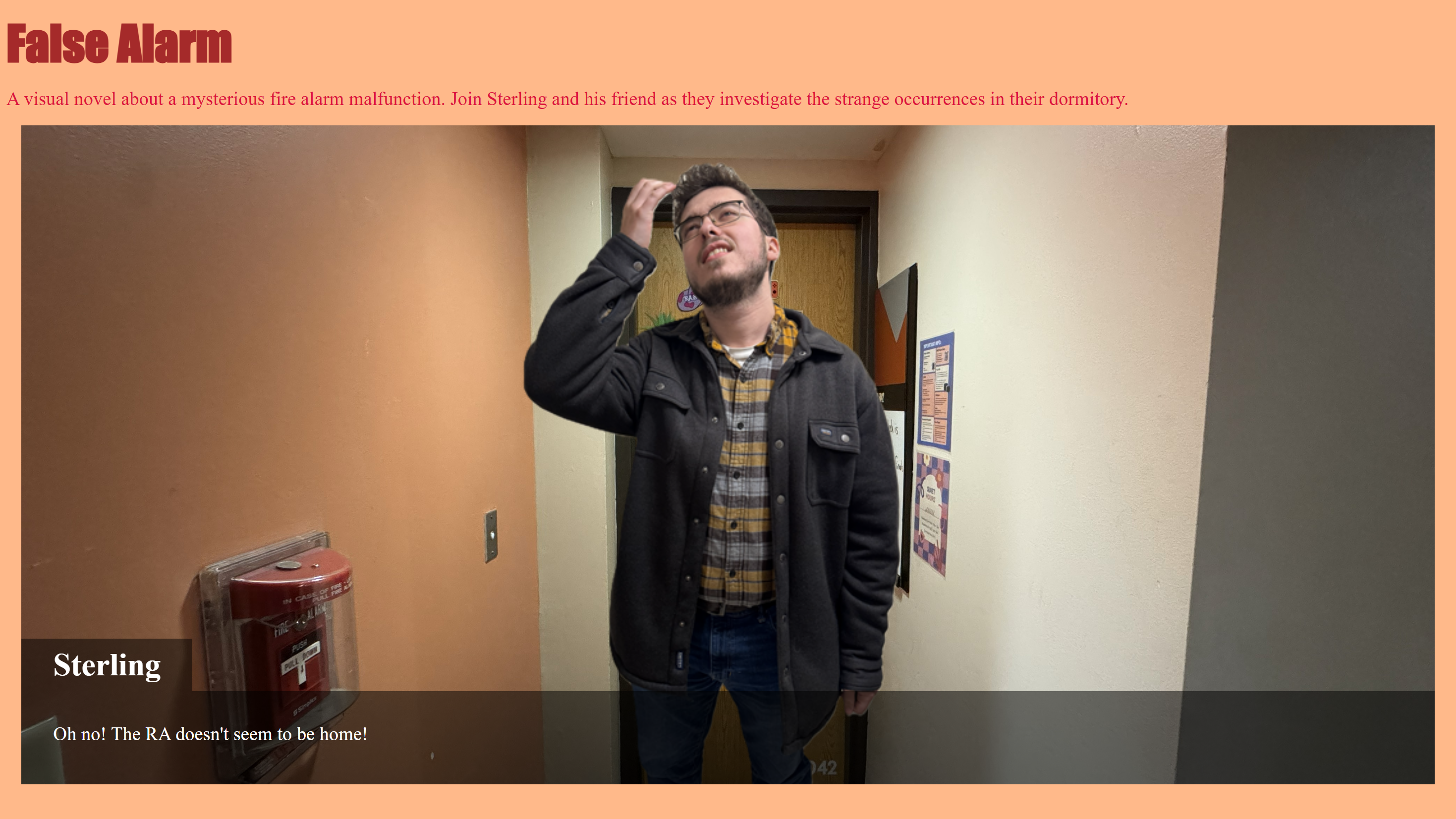 FalseAlarm_SplashImage